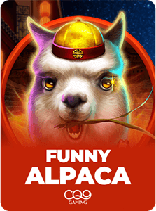 Funny Alpaca