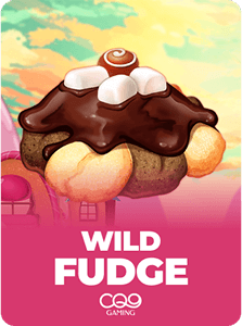 Wild Fudge