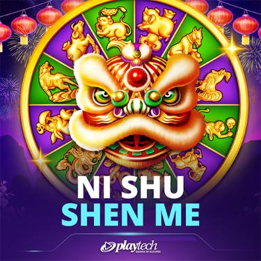 Ni Shu Shen Me