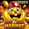 BOOM BOOM MARMOT