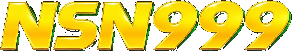 nsn999